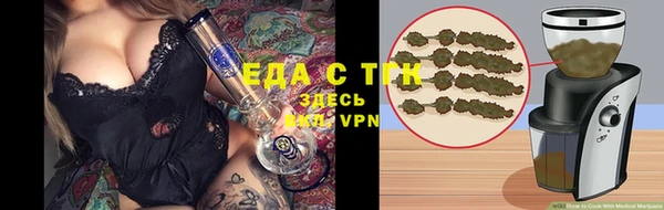 индика Нефтегорск