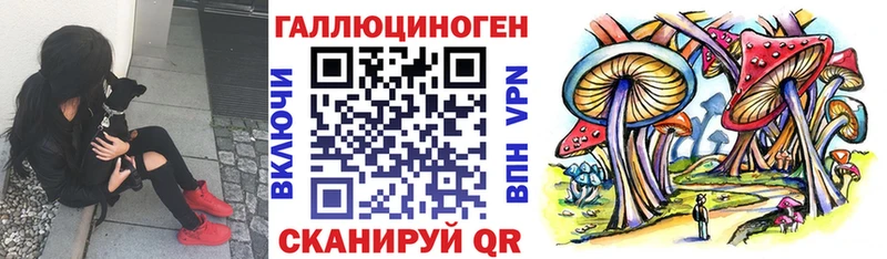 Псилоцибиновые грибы ЛСД купить наркотики сайты Кулебаки